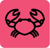 МОРЕ